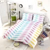 Colorful Zigzag Geometric Repeat Bedding Set