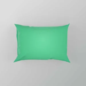 Light Green Gradient Pillow Case