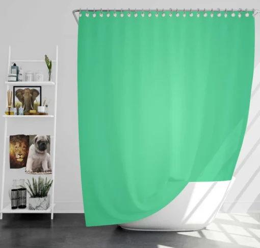 Light Green Gradient Shower Curtain