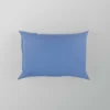 Light Steel Blue Color Pillow Case