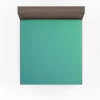 Light Turquoise Green Color Fitted Sheet