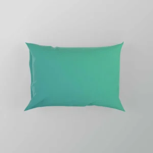 Light Turquoise Green Color Pillow Case