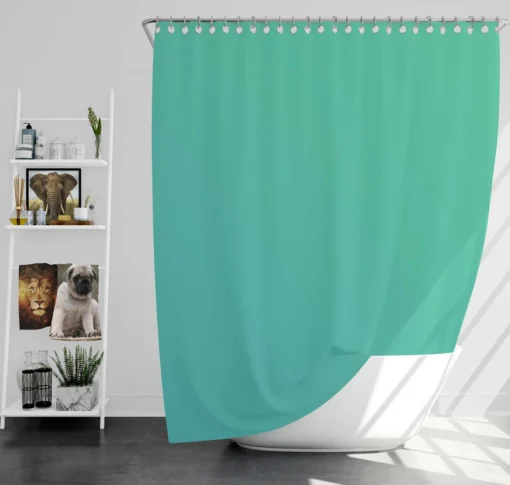 Light Turquoise Green Color Shower Curtain