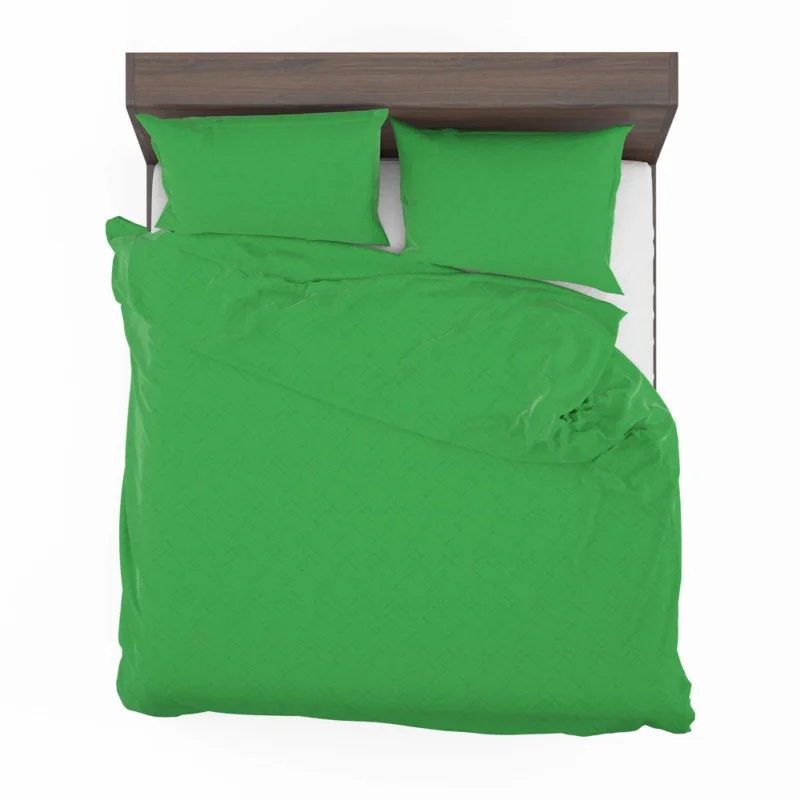 Malachite Green Color Bedding Set 2