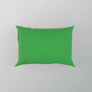 Malachite Green Color Pillow Case