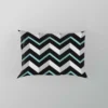 Modern White And Black Blue Chevron Pillow Case