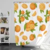 Orange Fruit And Sliced Shower Curtain