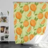 Orange Sliced Orange Plum Shower Curtain