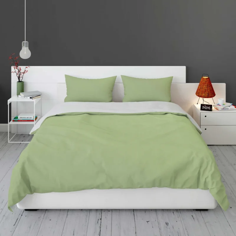 Pale Green Color Bedding Set 1