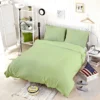 Pale Green Color Bedding Set