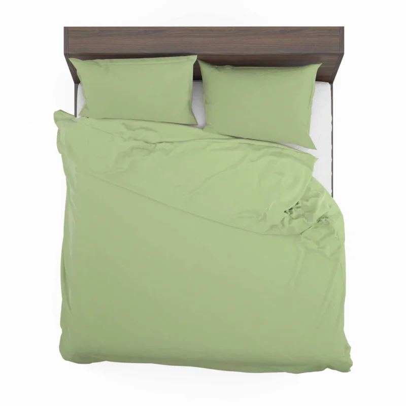 Pale Green Color Bedding Set 2