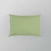 Pale Green Color Pillow Case