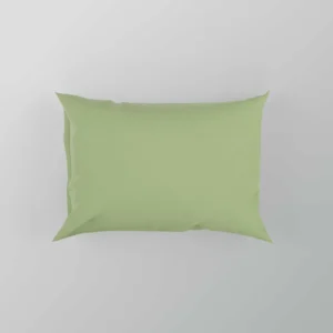 Pale Green Color Pillow Case