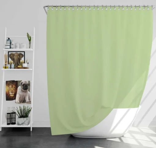 Pale Green Color Shower Curtain